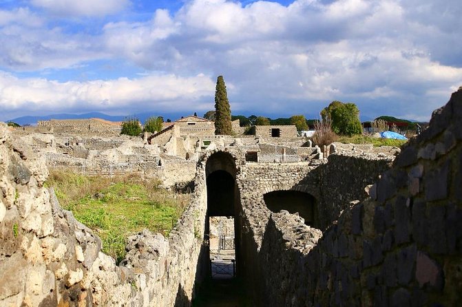 Tour of Pompeii for families with Transfer from Naples & Sorrento - The guides: the real reason families say yes