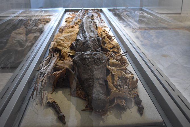 Tour of the Archaeological Museum of Naples - Price and value: is $223.75 per person fair?