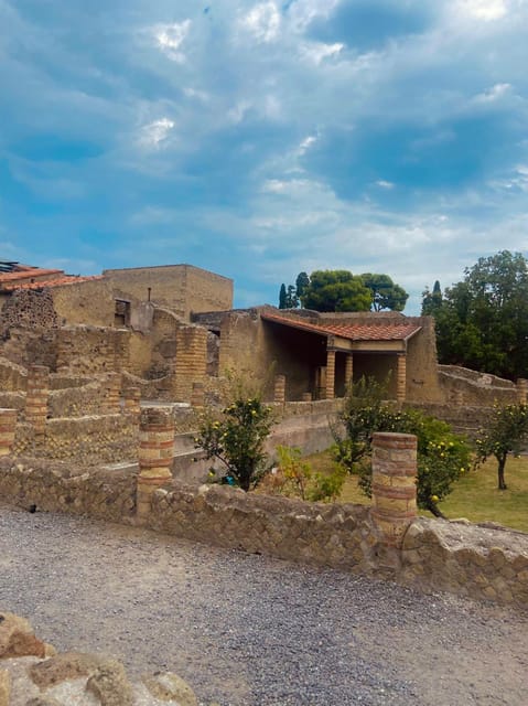 TRAMVIA From Naples: Ercolano Ruins e Vesuvius Transfer bus - Mount Vesuvius guided tour: what you’ll learn near the crater