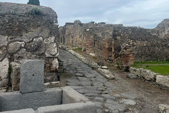 Tramvia Napoli Daily Trip to Pompeii Ruins - Who this trip suits best