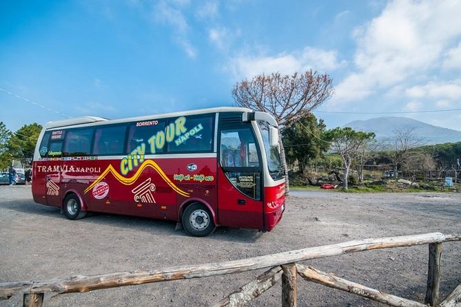 Tramvia Napoli: Transfer to Herculaneum Ruins + Vesuvius - Price and Logistics: What You’re Actually Paying For