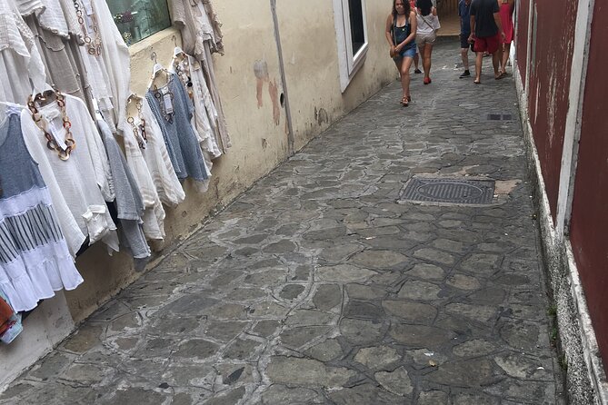 Transfer from Naples to Positano with a stop at Pompeii or Positano to Naples - Price and value: $555.27 for up to 8 people