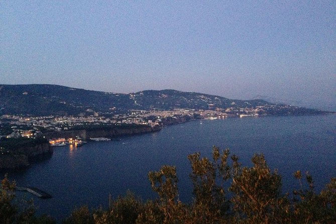 Transfer from Naples to Sorrento - The Mercedes Ride Experience: What to Expect Once You’re Seated