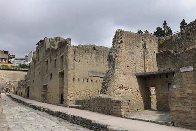 Transfer From Naples Train Station/area to Sorrento 2hr stop in Herculaneum - Optional Two-Hour Licensed Guide: When Paying Extra Makes Sense