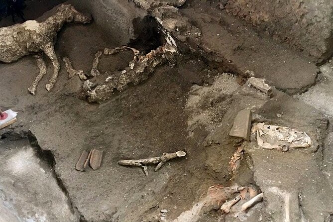 Transfer Naples Sorrento plus Pompeii or vice versa - Should you book this Pompeii stop transfer?