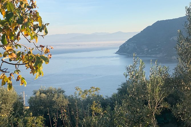 Unique Tour | Discovering Amalfi on a Minivan with driver - Amalfi stop: cathedral area, harbor views, and lemon-flavored breaks