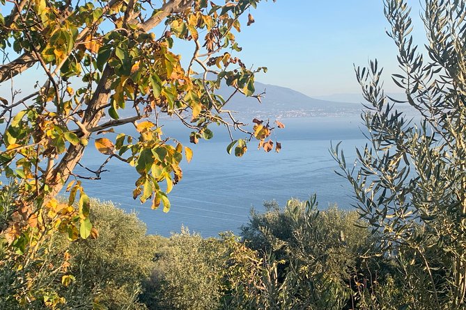 Unique Tour | Discovering Amalfi on a Minivan with driver - Lunch, boat tours, and what’s not included