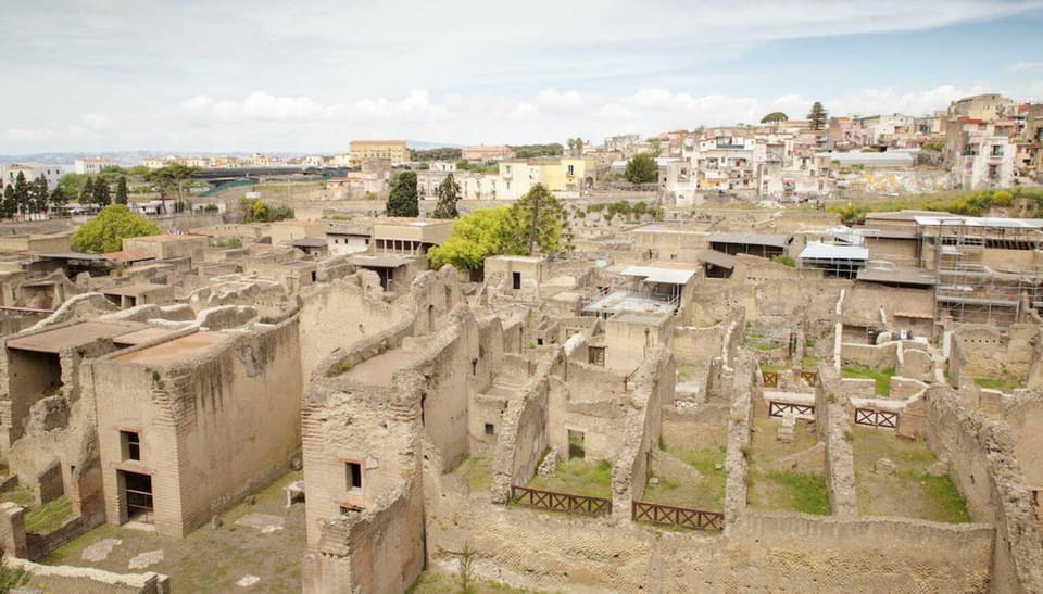 Vesuvius - Herculaneum - Pompeii Excavations Tour - Price and Value: What $95 Covers and What It Doesn’t