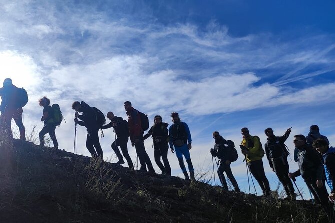 Vesuvius, V.I.P. the only Tour with Volcanological Guide - Key highlights to know before you go