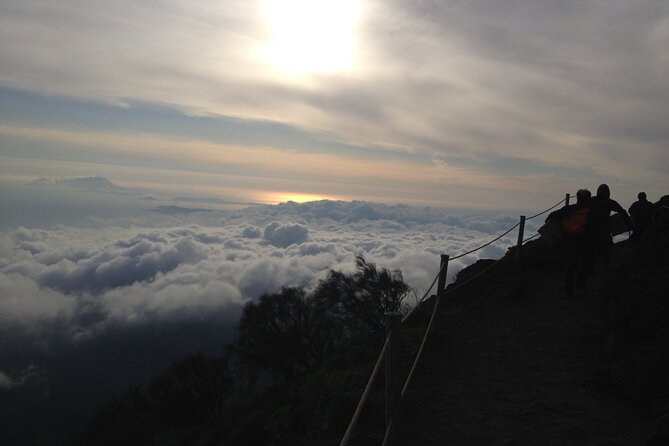 Vesuvius, V.I.P. the only Tour with Volcanological Guide - The walk up from 1,000 m: route, pace, and what you’ll notice