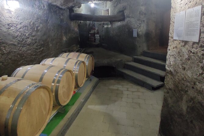 Vesuvius wine tasting with company tour - What happens in those 2 hours
