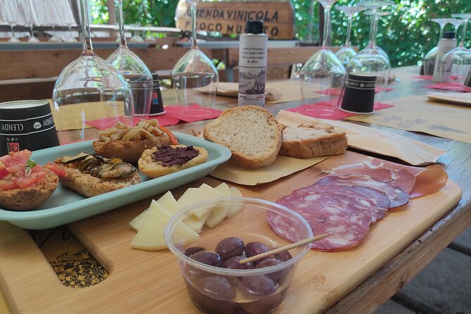 Vesuvius wine tasting with company tour - Key things to know before you go