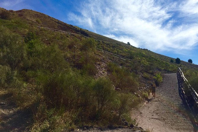 Vintage Van Experience: Tour and Transfer to Mt. Vesuvius - No Lunch Means You Should Travel Smart