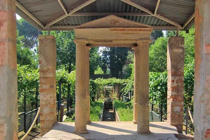 VIP Pompeii Tour including Newly Opened Houses With Archaeologist - Guides, expertise, and what to expect from the archaeologist label