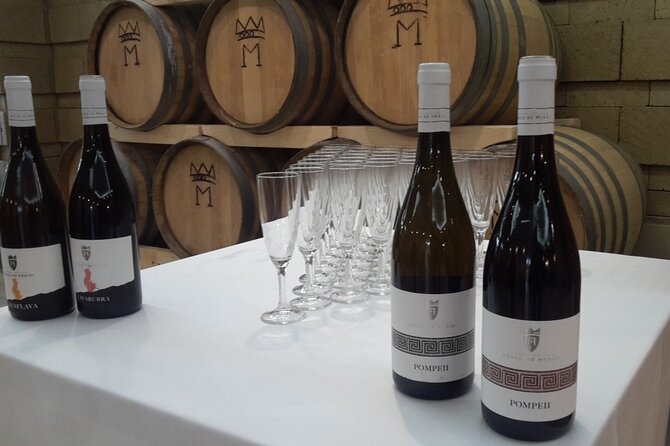 Visit 2 wine producers with tasting and transportation included - A Wine-and-Scenery Day Trip from Naples