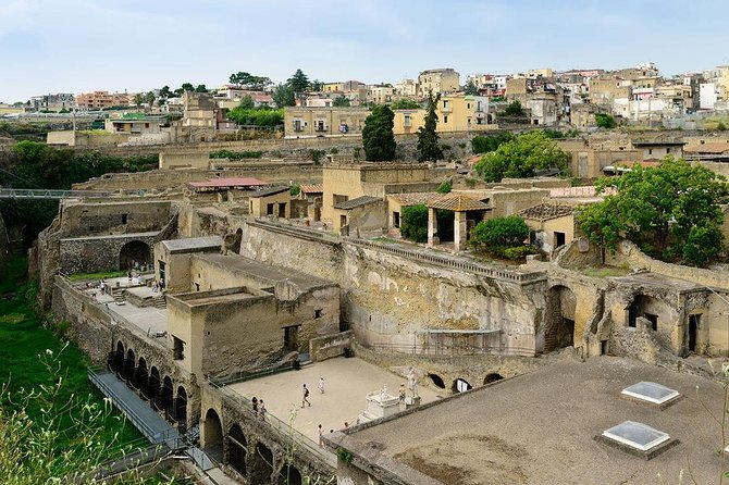 Visit Herculaneum with an expert professional guide (2/3 hours) - Who this tour is best for