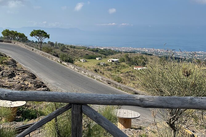 Visit Mt Vesuvius & Pompeii skip the line tickets from naples - The real logistics: how the day usually flows