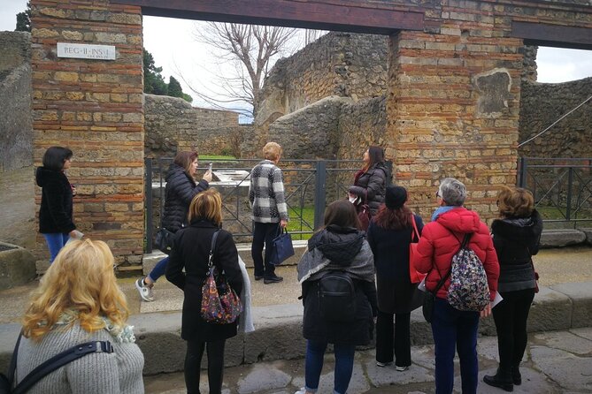 Visit Pompeii with an expert professional guide (2/3 hours) - The Pompeii ruins stop: Vesuvius, the Forum, and the everyday details
