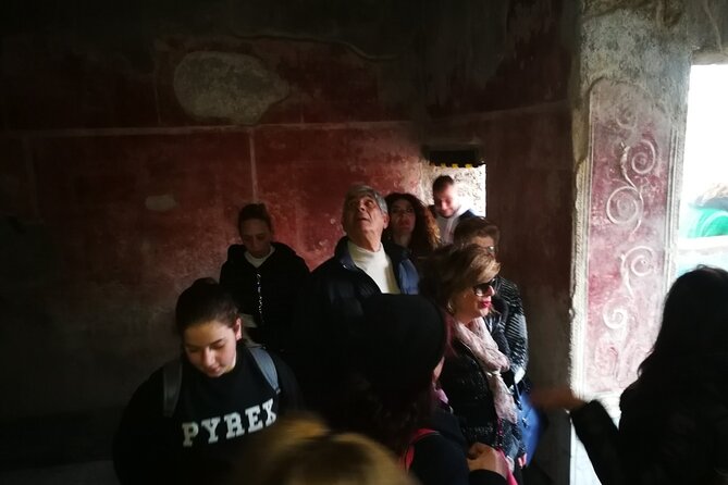 Visit Pompeii with an expert professional guide (2/3 hours) - What kind of traveler will love this most?