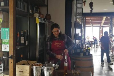 Wine & Food Tour at the Vesuvius Winery - Getting there in comfort: onboard WiFi, bottled water, and parking handled