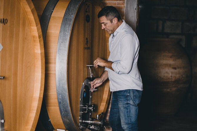 Wine Tasting and Winery Tour in Vesuvio National Park with Lunch - Key highlights worth planning around