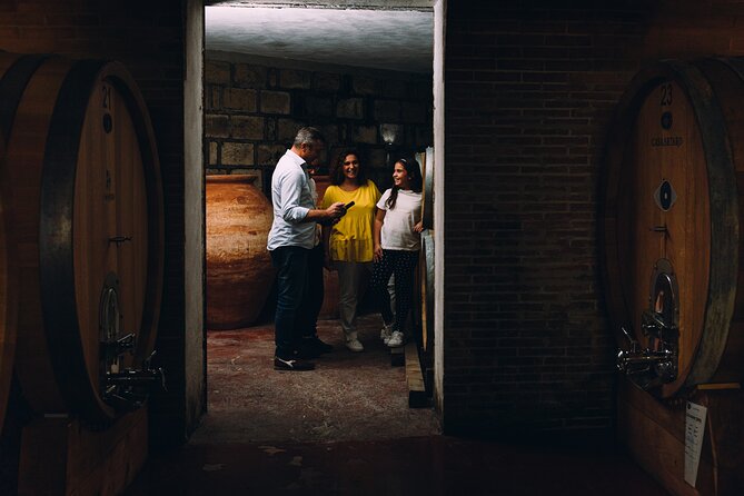 Wine Tasting and Winery Tour in Vesuvio National Park with Lunch - A Vesuvius winery visit with food, not just wine