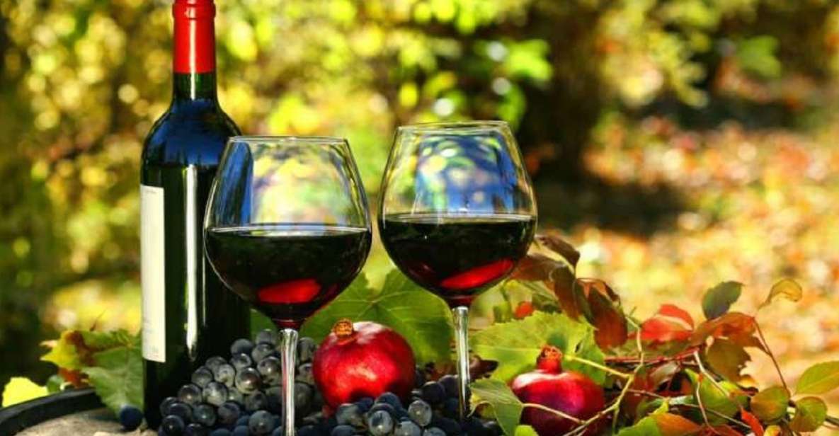 Wine Tasting Experience on the slopes of Vesuvius - Guided vineyard walk on Vesuvius slopes