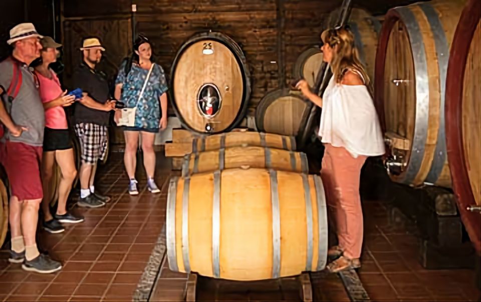 Wine Tasting Experience on the slopes of Vesuvius - Who this Vesuvius wine tasting suits best