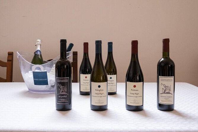 Wine Tasting in Campi Flegrei from Naples - Getting There: the 30-minute chauffeur ride from Piazza Garibaldi