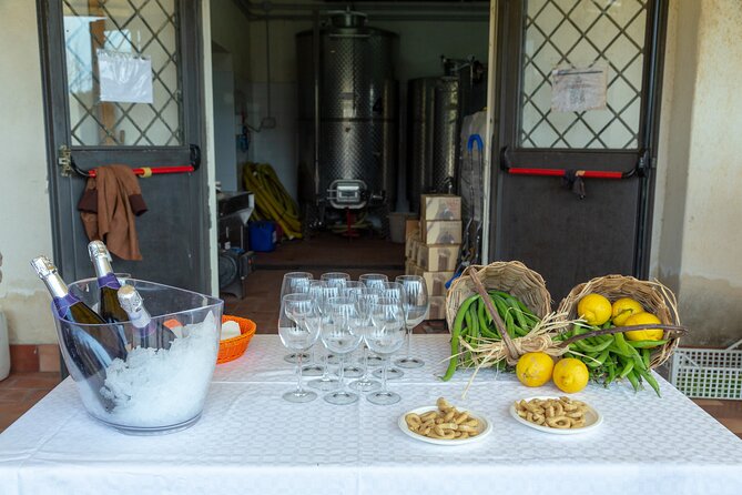 Wine Tasting in Campi Flegrei from Naples - Price and value: is $169.24 worth it?