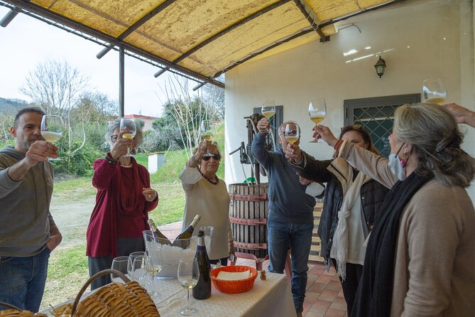 Wine Tasting in Campi Flegrei from Naples - Who should book this Campi Flegrei wine tasting?