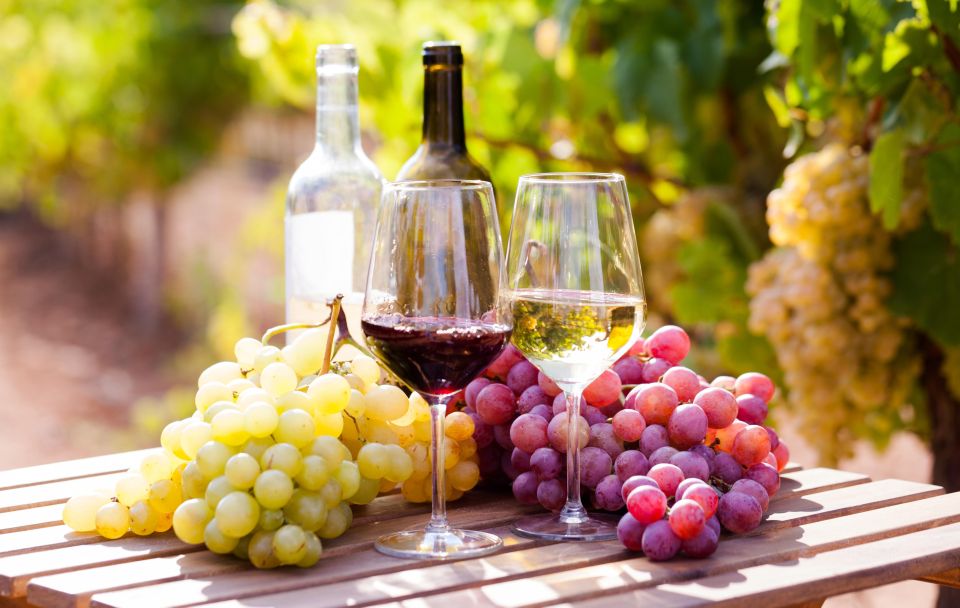 Wine tasting in the Vesuvius National Park - From Porta Marina Superiore to the Vesuvius wine slopes