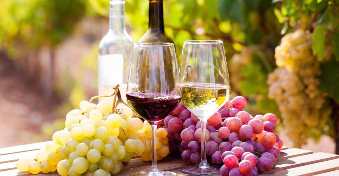 Wine tasting in the Vesuvius National Park - Four-wine tasting with expert sommeliers (and real food pairing)