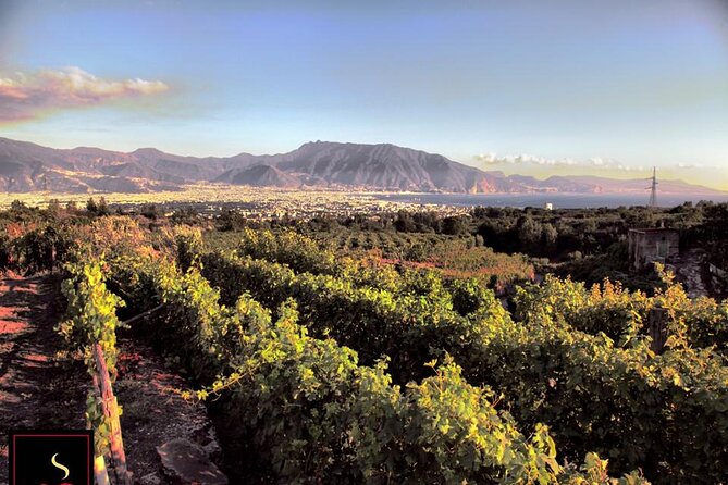 Wine Tour and Lunch with Winetasting and Vineyard Visit - Getting from your pickup point to the countryside (and back)