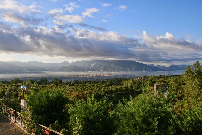 Wine Tour and Lunch with Winetasting and Vineyard Visit - Who should book this Naples wine tour (and who might skip it)